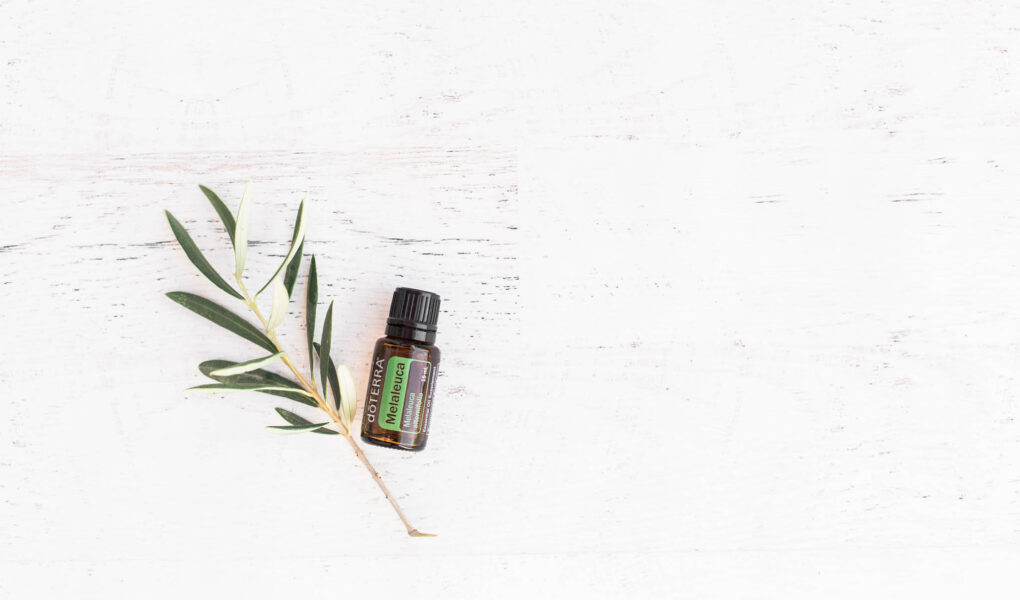 a small bottle of essential oil next to a branch